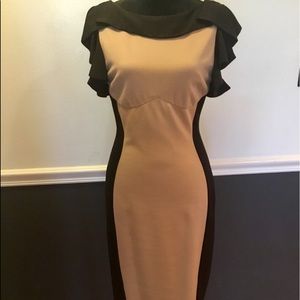 NWT Ted Baker Ruffle Shoulder Contrast Dress